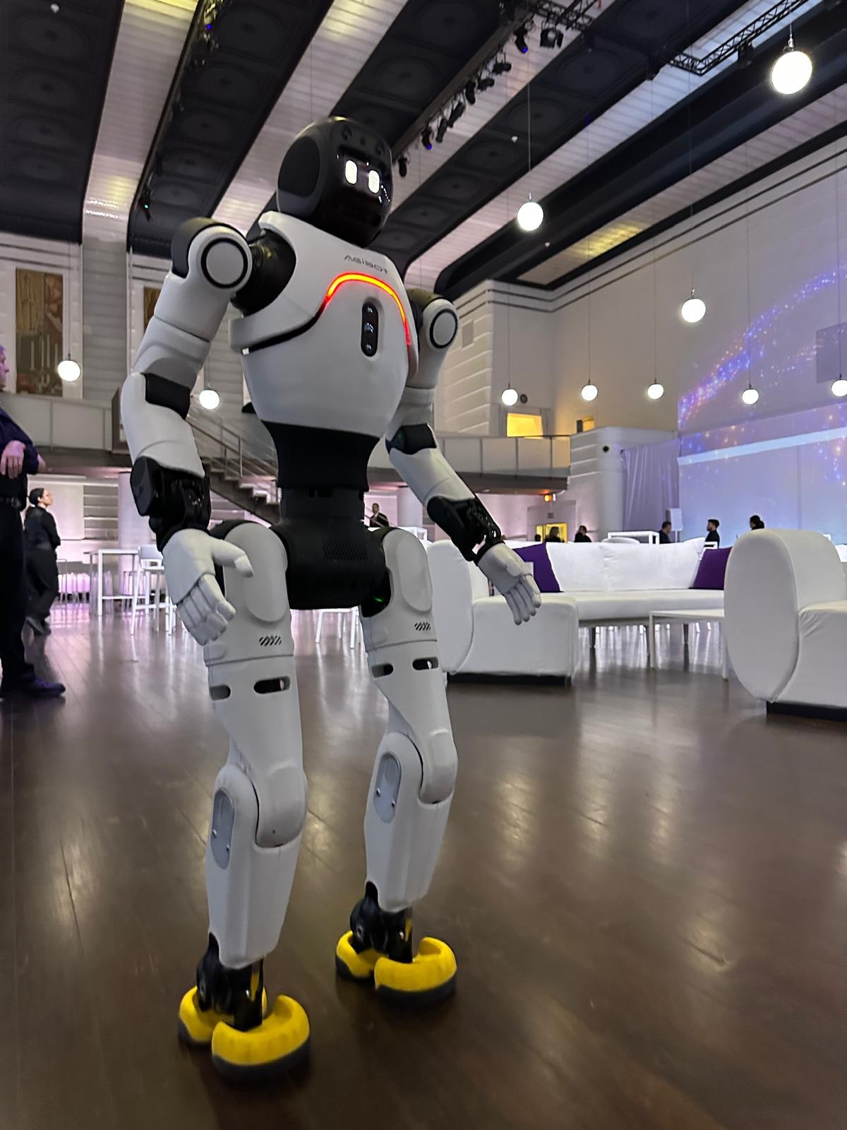Humanoid robots for events, greeting and brand activations